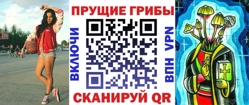магазин продажи   darknet как зайти  Галлюциногенные грибы мицелий  Обоянь 